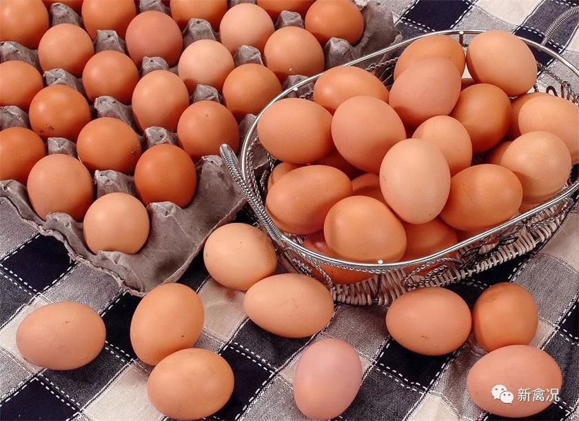 鸡蛋价格持续上涨，今年赔的都能赚回来？